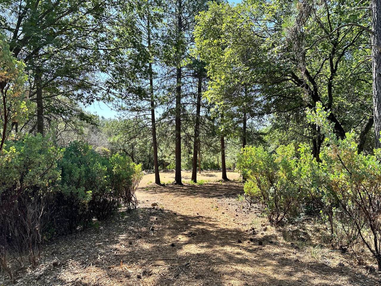 https://bt-photos.global.ssl.fastly.net/sacramento/1280_boomver_1_560840213-2.jpg