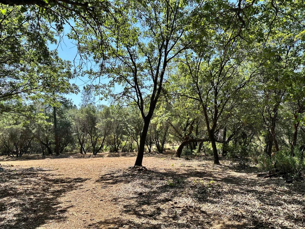 https://bt-photos.global.ssl.fastly.net/sacramento/1280_boomver_1_560840219-2.jpg
