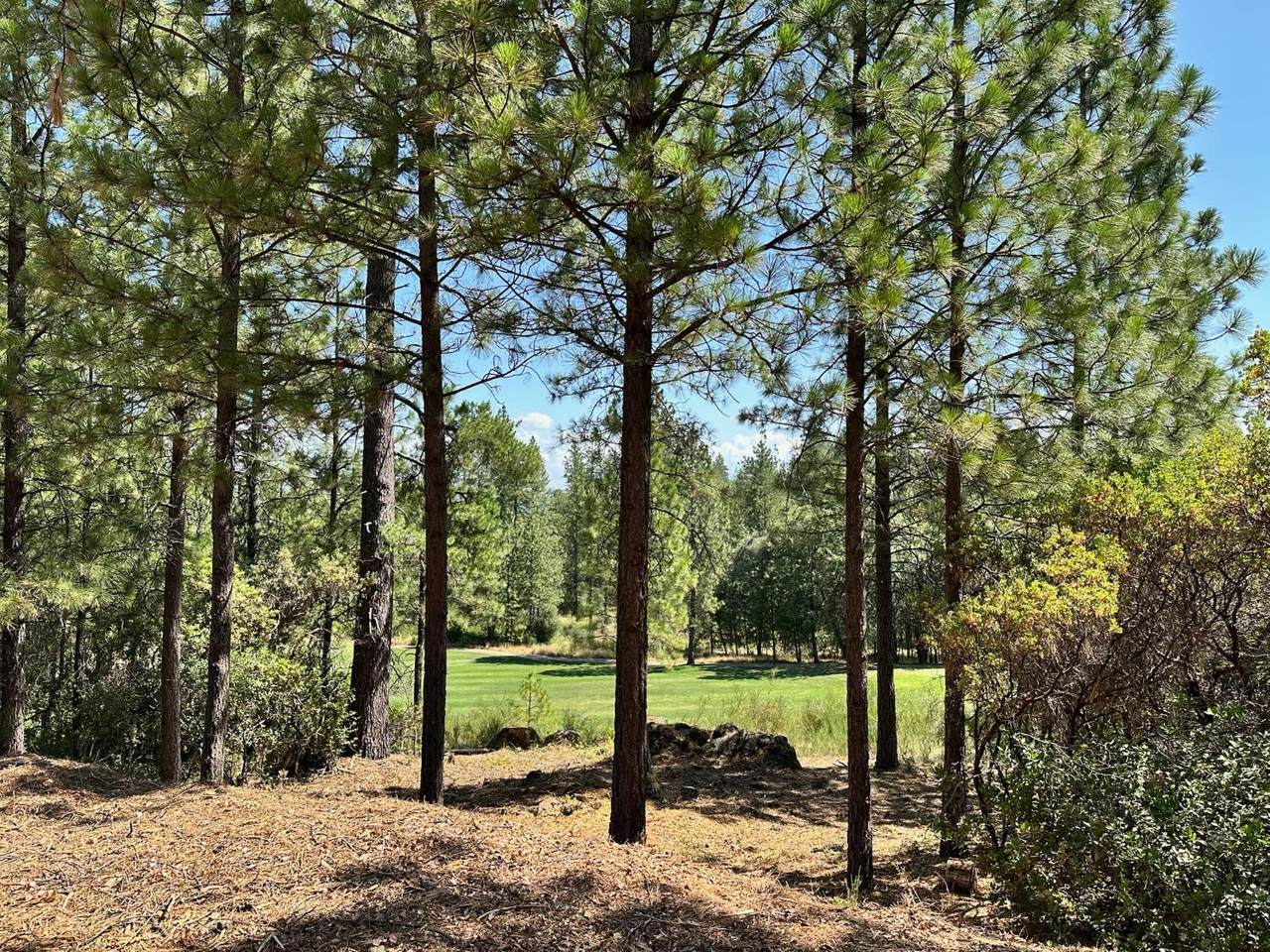 https://bt-photos.global.ssl.fastly.net/sacramento/1280_boomver_1_560840221-2.jpg