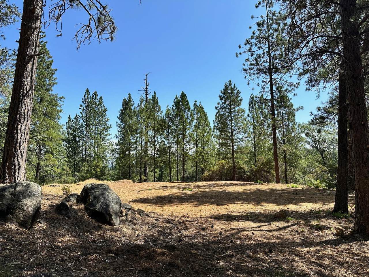 https://bt-photos.global.ssl.fastly.net/sacramento/1280_boomver_1_560840221-2.jpg