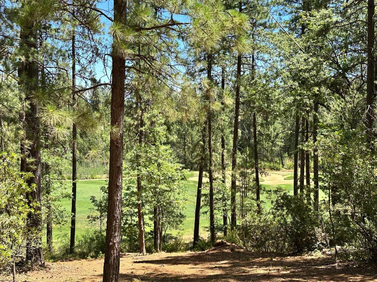 https://bt-photos.global.ssl.fastly.net/sacramento/1280_boomver_1_560840229-2.jpg
