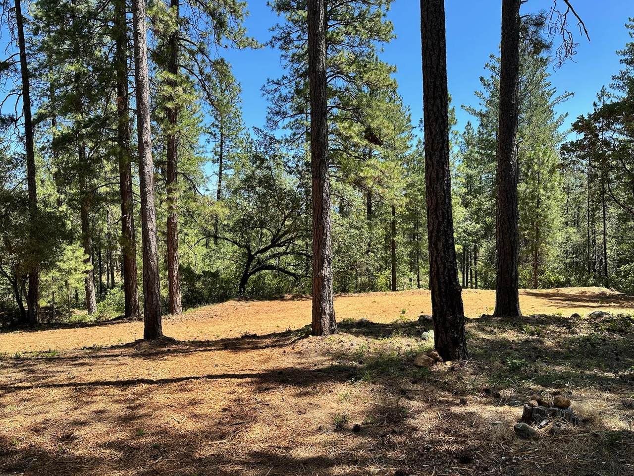 https://bt-photos.global.ssl.fastly.net/sacramento/1280_boomver_1_560840229-2.jpg