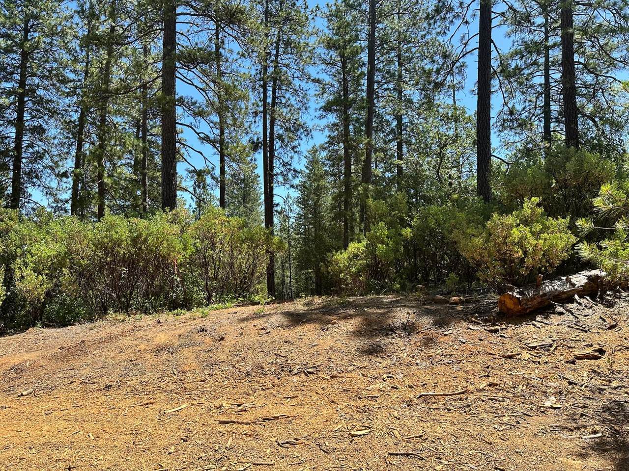 https://bt-photos.global.ssl.fastly.net/sacramento/1280_boomver_1_560840229-2.jpg