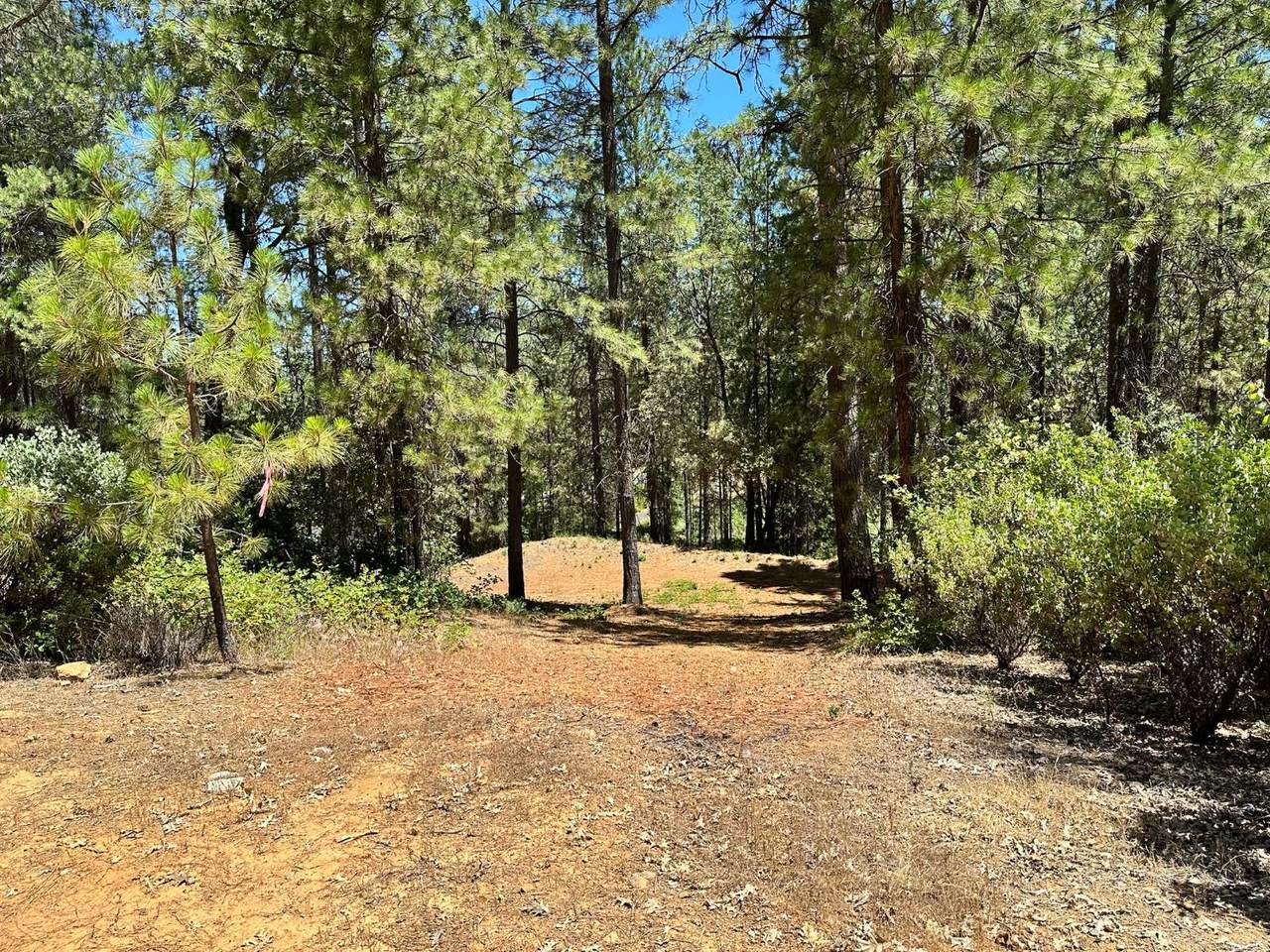 https://bt-photos.global.ssl.fastly.net/sacramento/1280_boomver_1_560840234-2.jpg