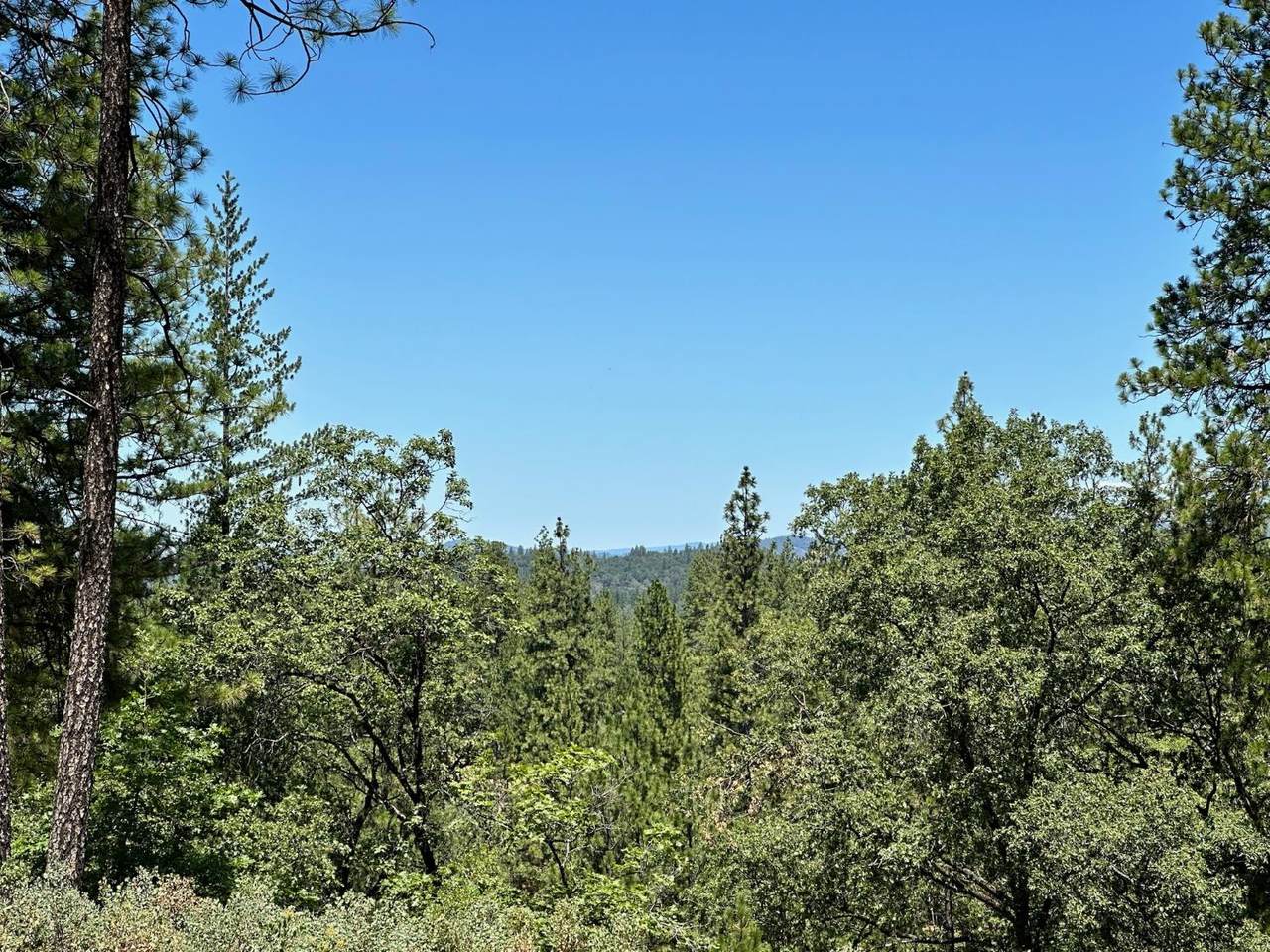 https://bt-photos.global.ssl.fastly.net/sacramento/1280_boomver_1_560840246-2.jpg