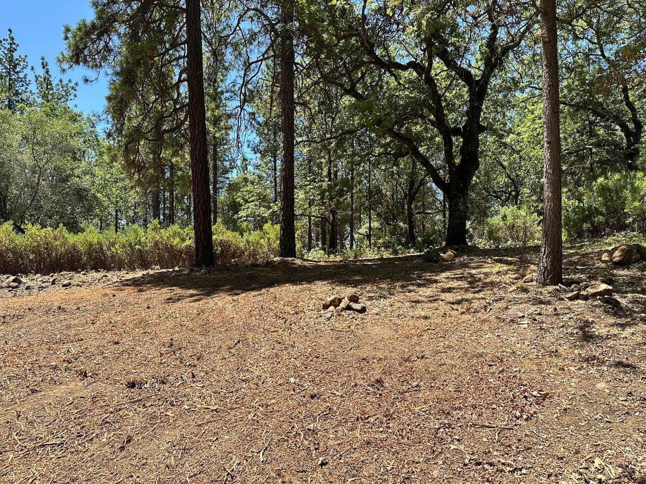 https://bt-photos.global.ssl.fastly.net/sacramento/1280_boomver_1_560840247-2.jpg