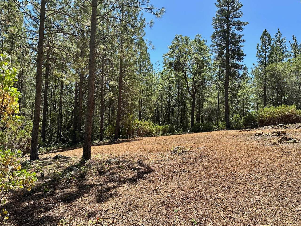 https://bt-photos.global.ssl.fastly.net/sacramento/1280_boomver_1_560840247-2.jpg