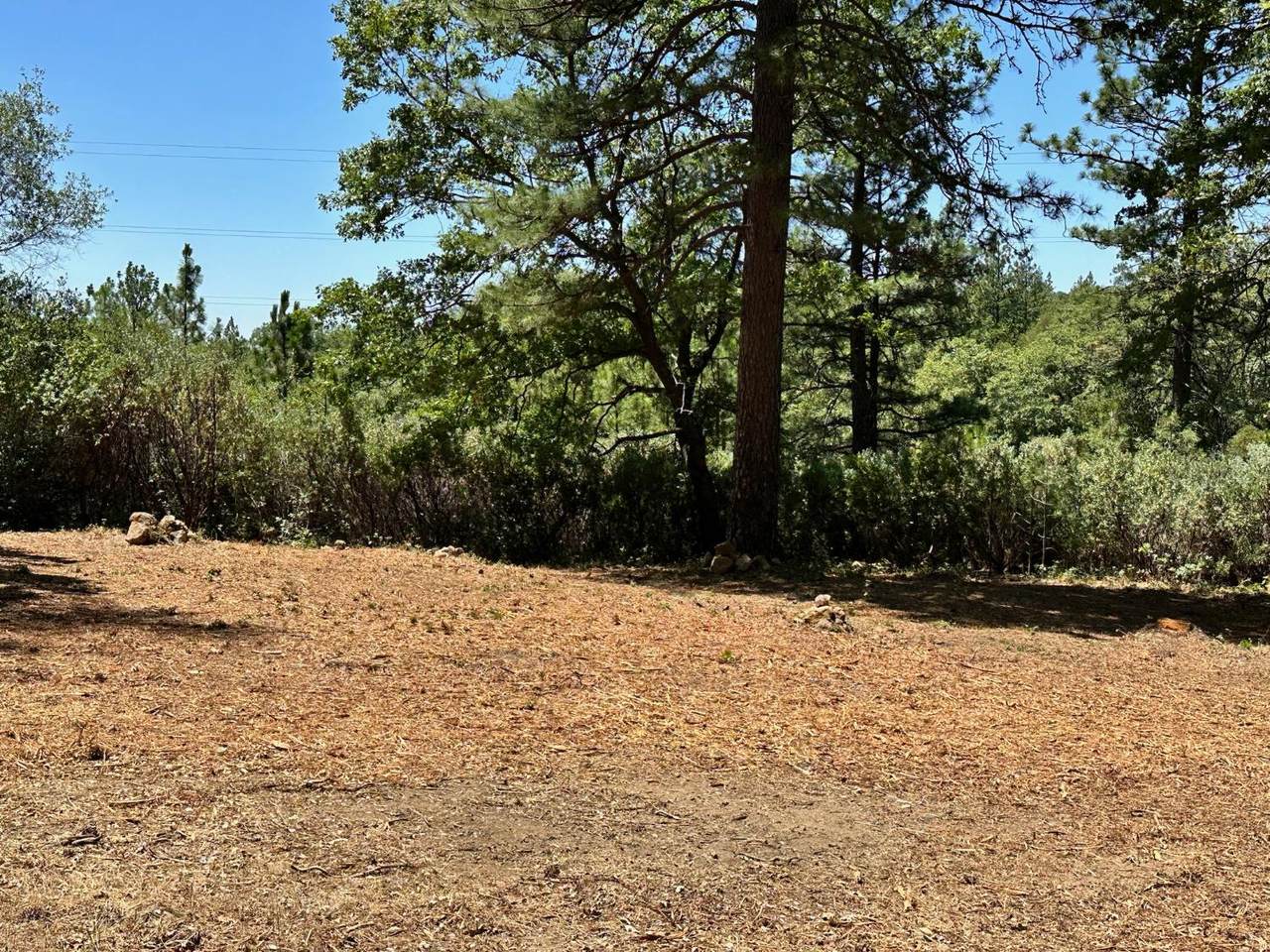 https://bt-photos.global.ssl.fastly.net/sacramento/1280_boomver_1_560840260-2.jpg