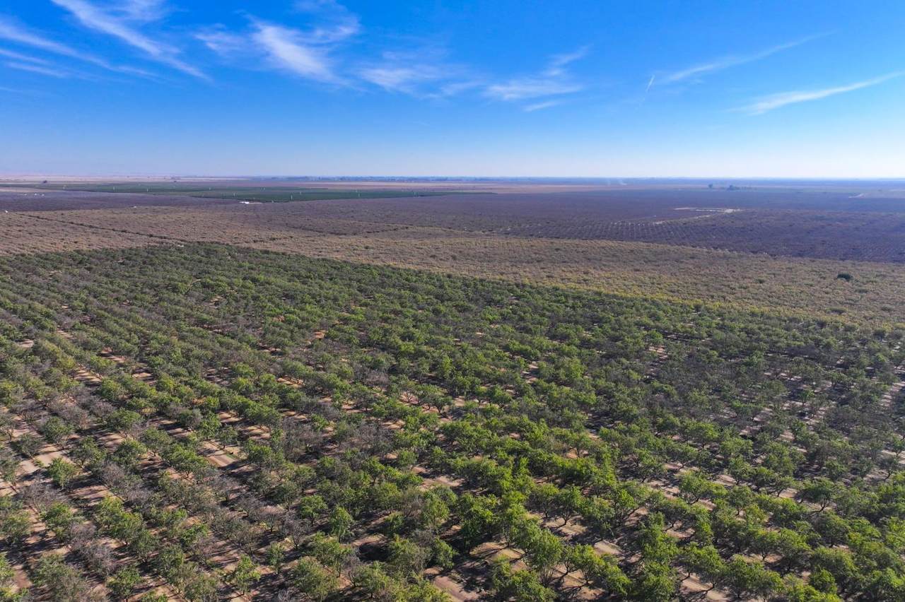 0 Avenue 24 - Photo 1