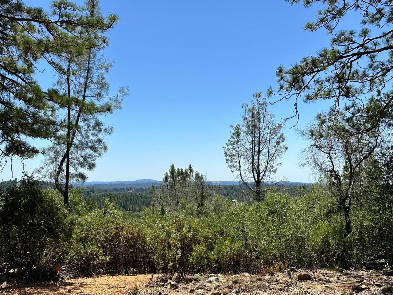 https://bt-photos.global.ssl.fastly.net/sacramento/1280_boomver_1_560840262-2.jpg