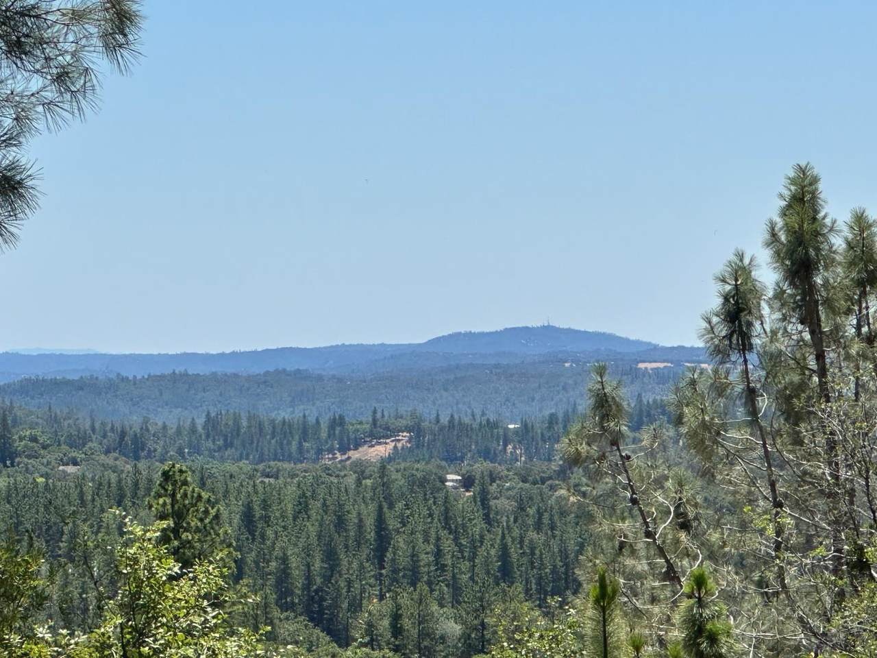 https://bt-photos.global.ssl.fastly.net/sacramento/1280_boomver_1_560840262-2.jpg