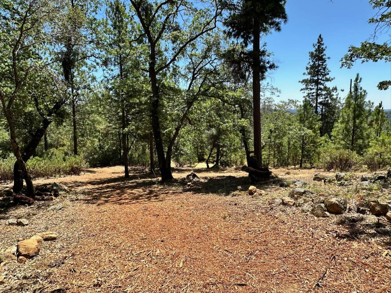 https://bt-photos.global.ssl.fastly.net/sacramento/1280_boomver_1_560840263-2.jpg