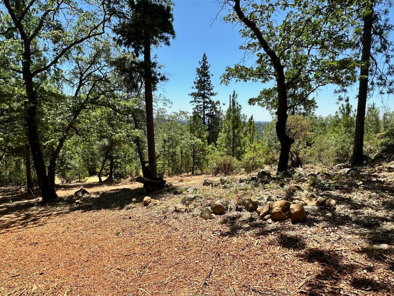 https://bt-photos.global.ssl.fastly.net/sacramento/1280_boomver_1_560840263-2.jpg