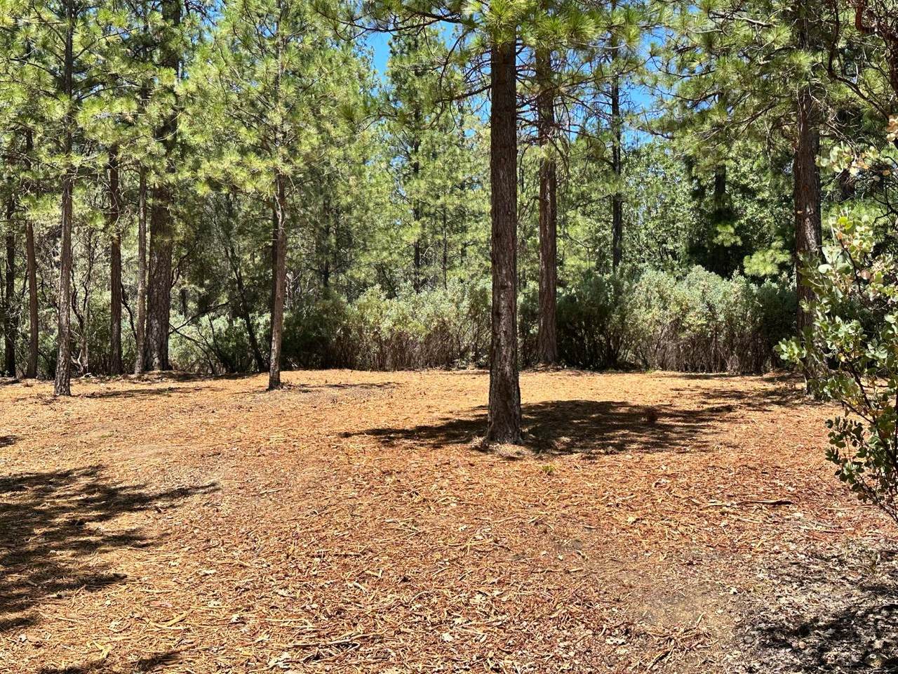 https://bt-photos.global.ssl.fastly.net/sacramento/1280_boomver_1_560840269-2.jpg