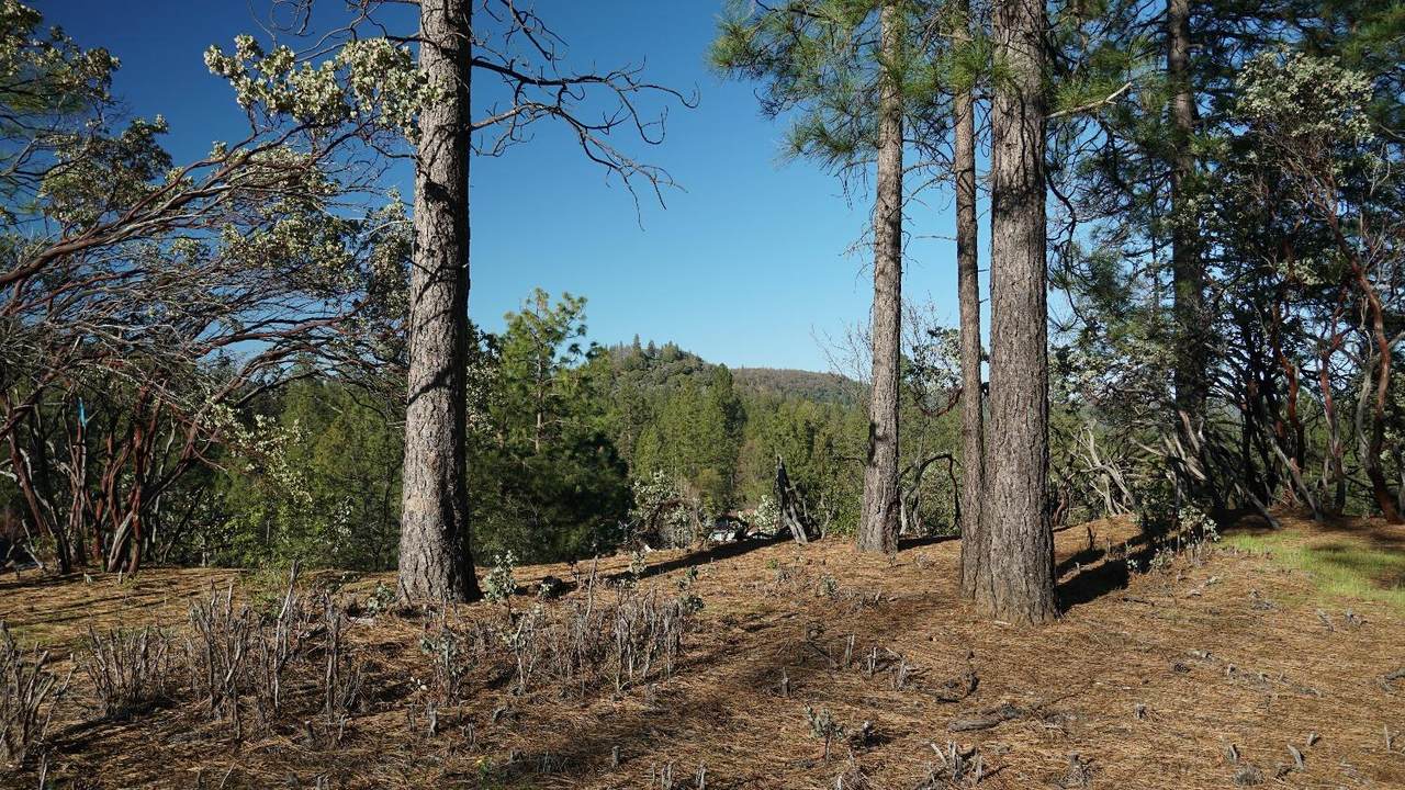 660 Chief Kelly Drive - Photo 1