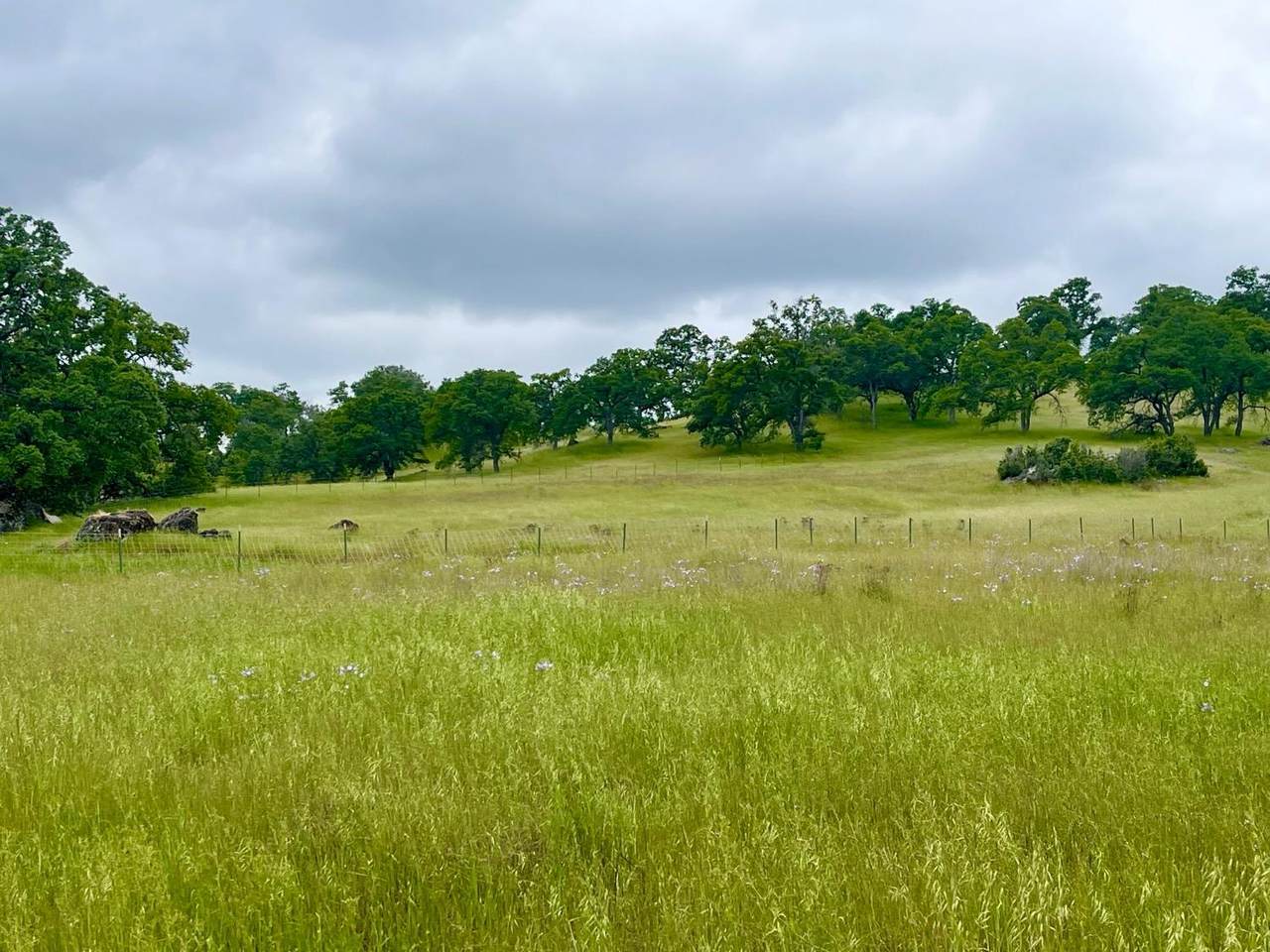 3190 State Highway 132 - Photo 1