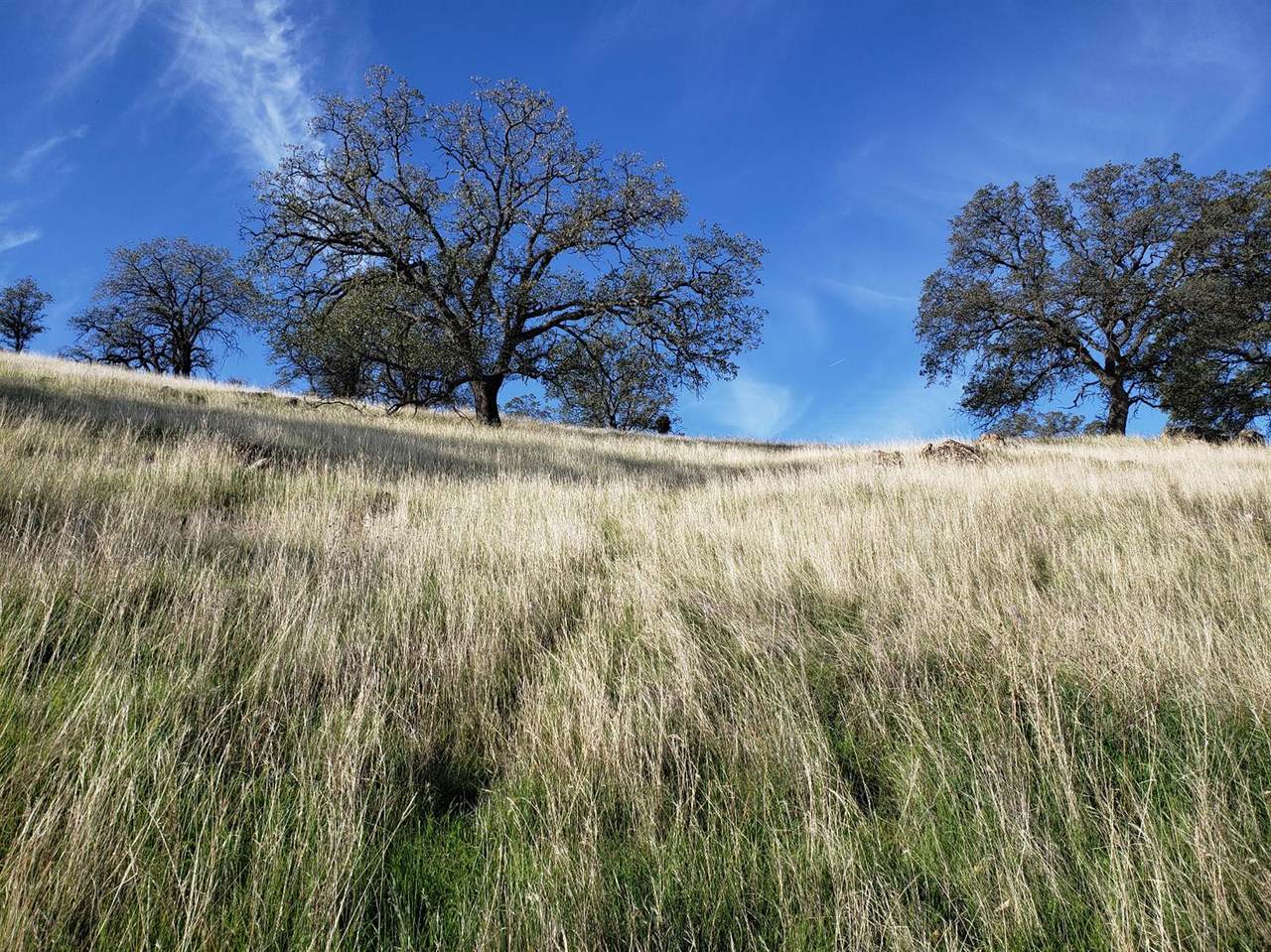 9767 Mirasol Way - Photo 1