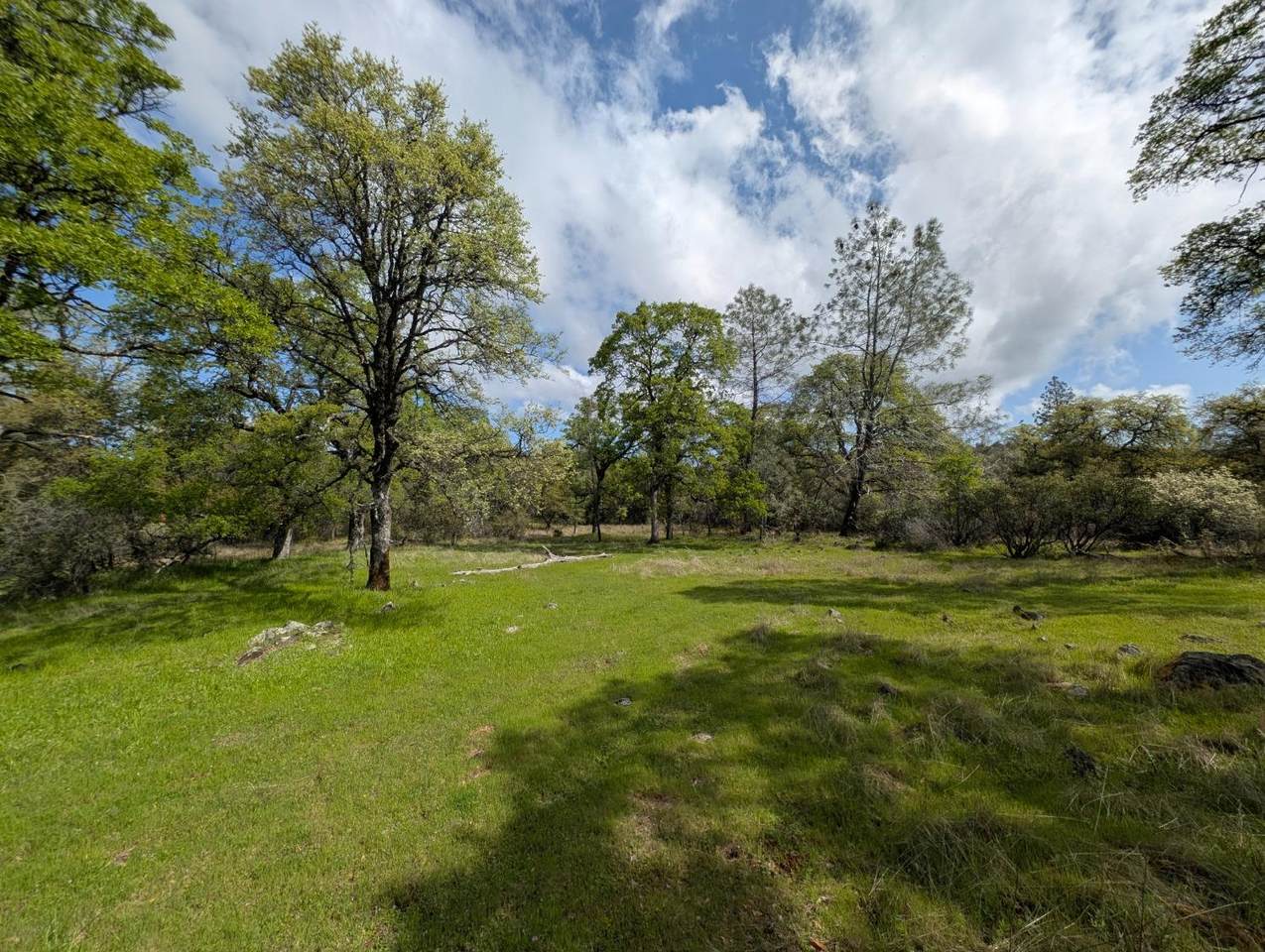 14677 Begonia Way - Photo 1