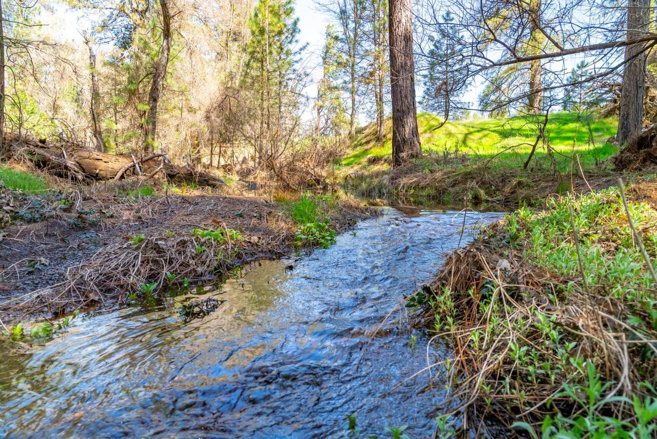 0 Fiske Road - Photo 1