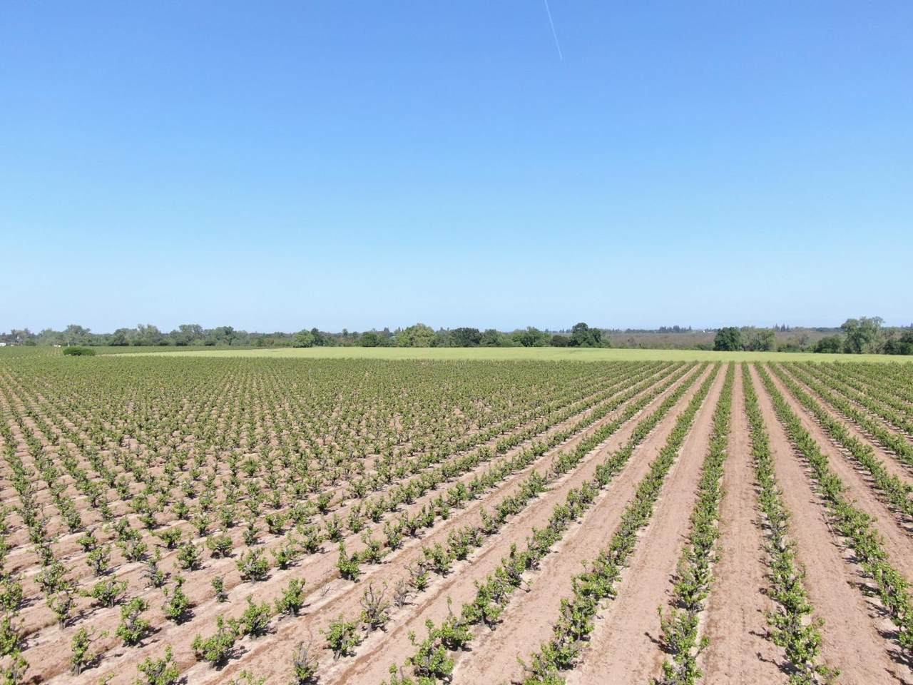 19991 Tretheway Road - Photo 1