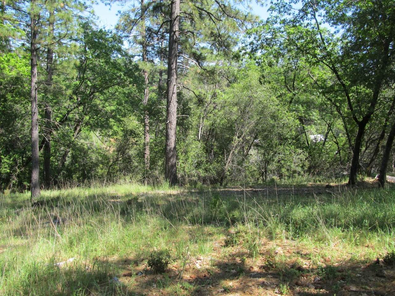 0 Mona Drive - Photo 1