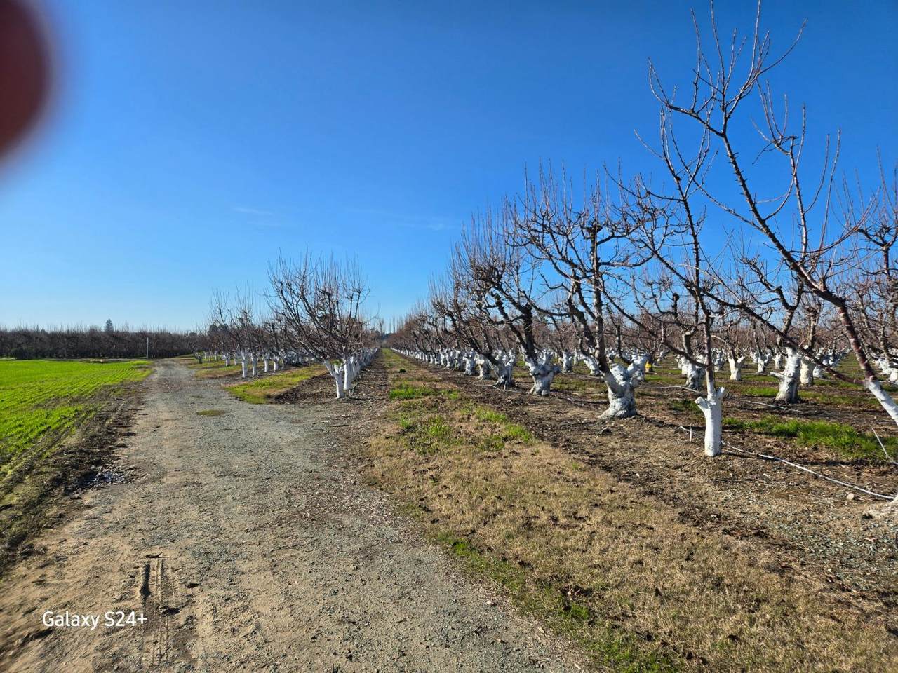 0 Andrus Island Road - Photo 1