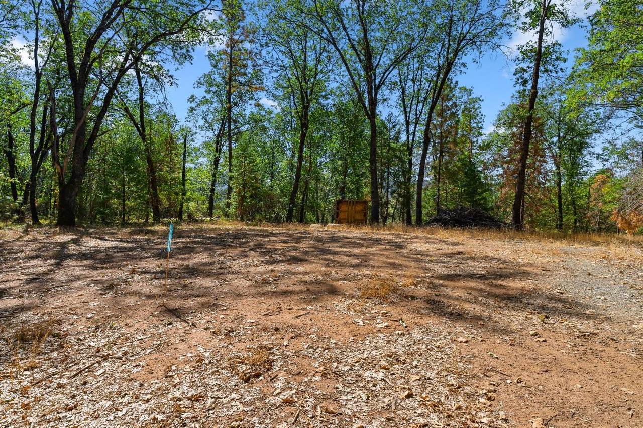 20866 Kuntz Court - Photo 1