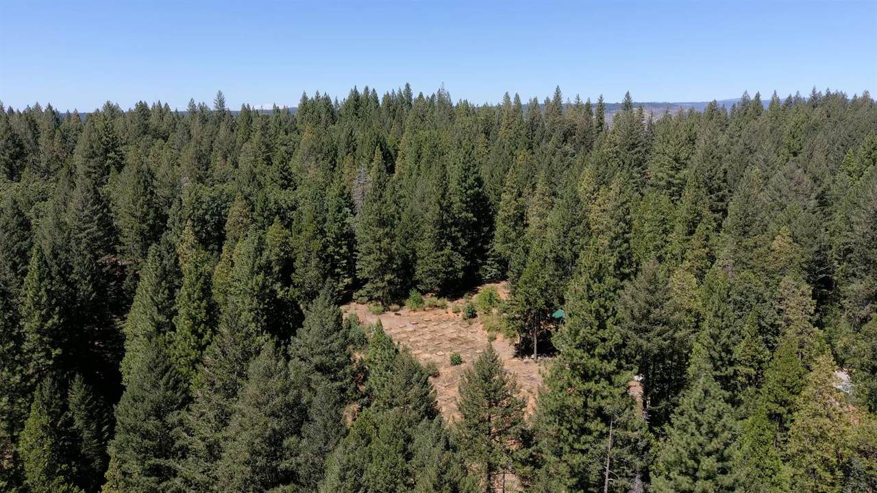 https://bt-photos.global.ssl.fastly.net/sacramento/1280_boomver_1_560852749-2.jpg