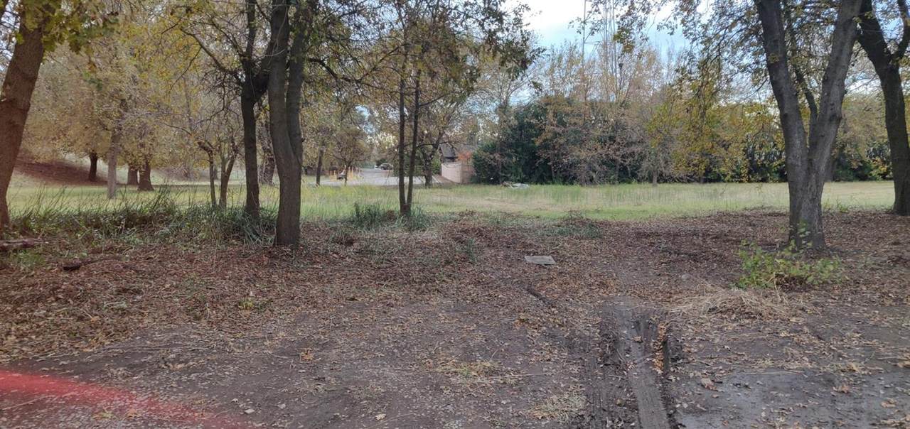 0 Magnolia Avenue - Photo 1