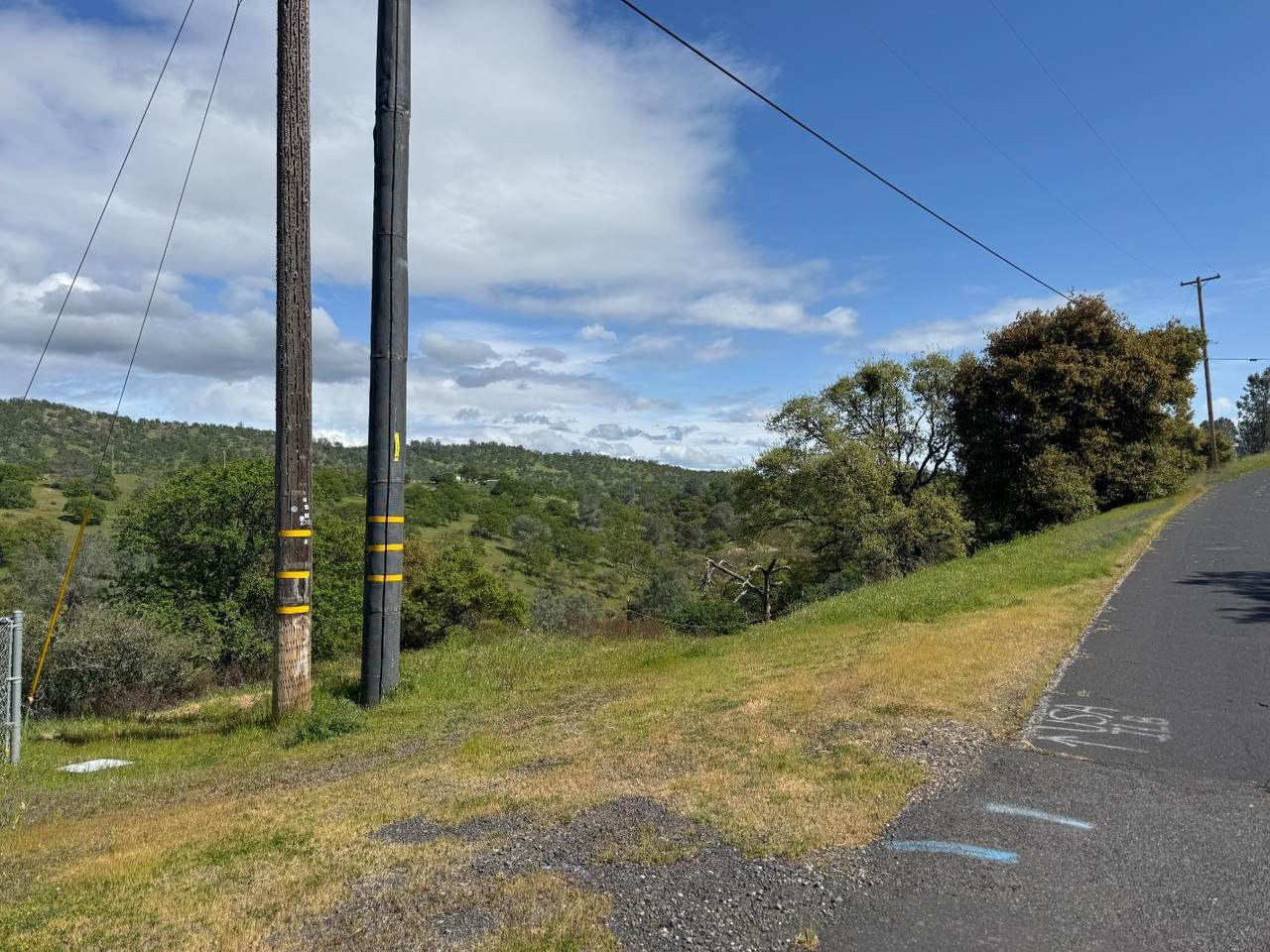 679 Zarzamora - Photo 1