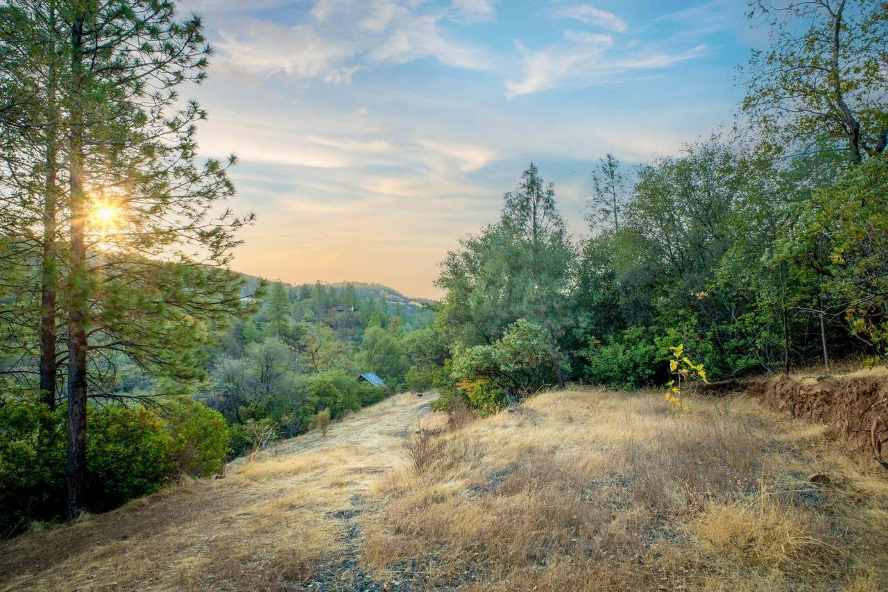https://bt-photos.global.ssl.fastly.net/sacramento/1280_boomver_1_560855435-2.jpg