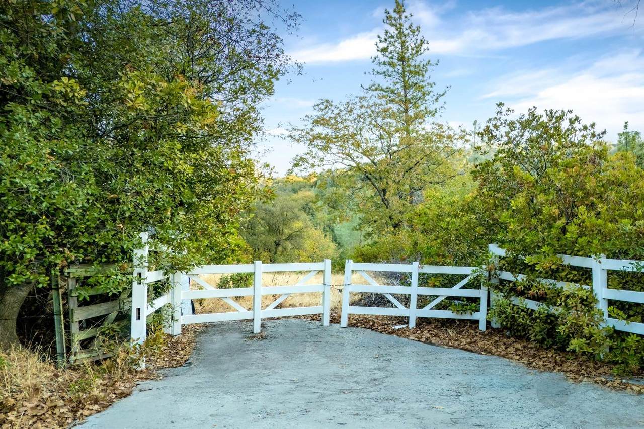 https://bt-photos.global.ssl.fastly.net/sacramento/1280_boomver_1_560855435-2.jpg