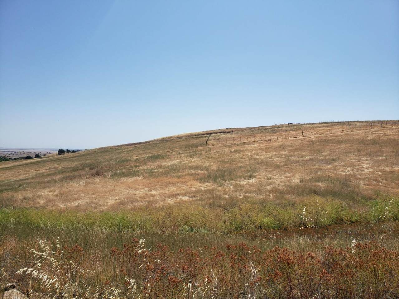 9701 Dolorosa - Photo 1