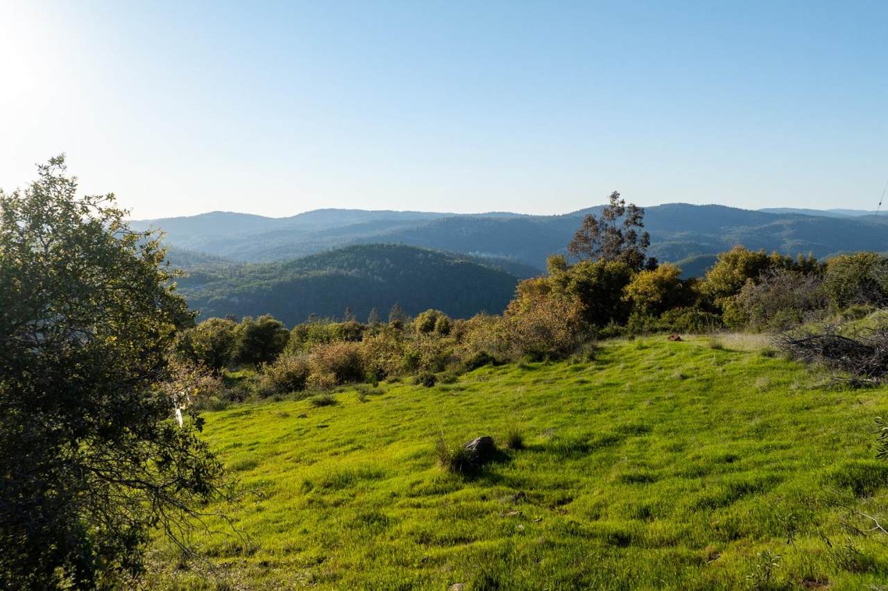 18678 Kentucky Ravine Road - Photo 1