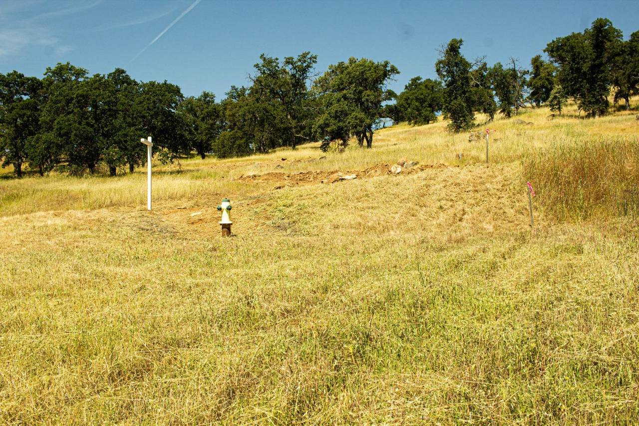 3070 State Hwy 132 - Photo 1