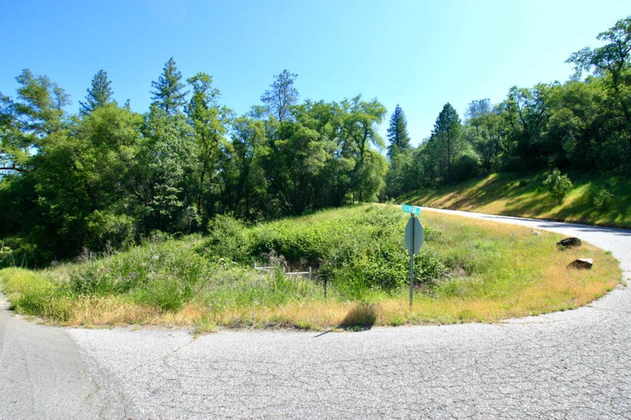 16970 Southridge Drive - Photo 1