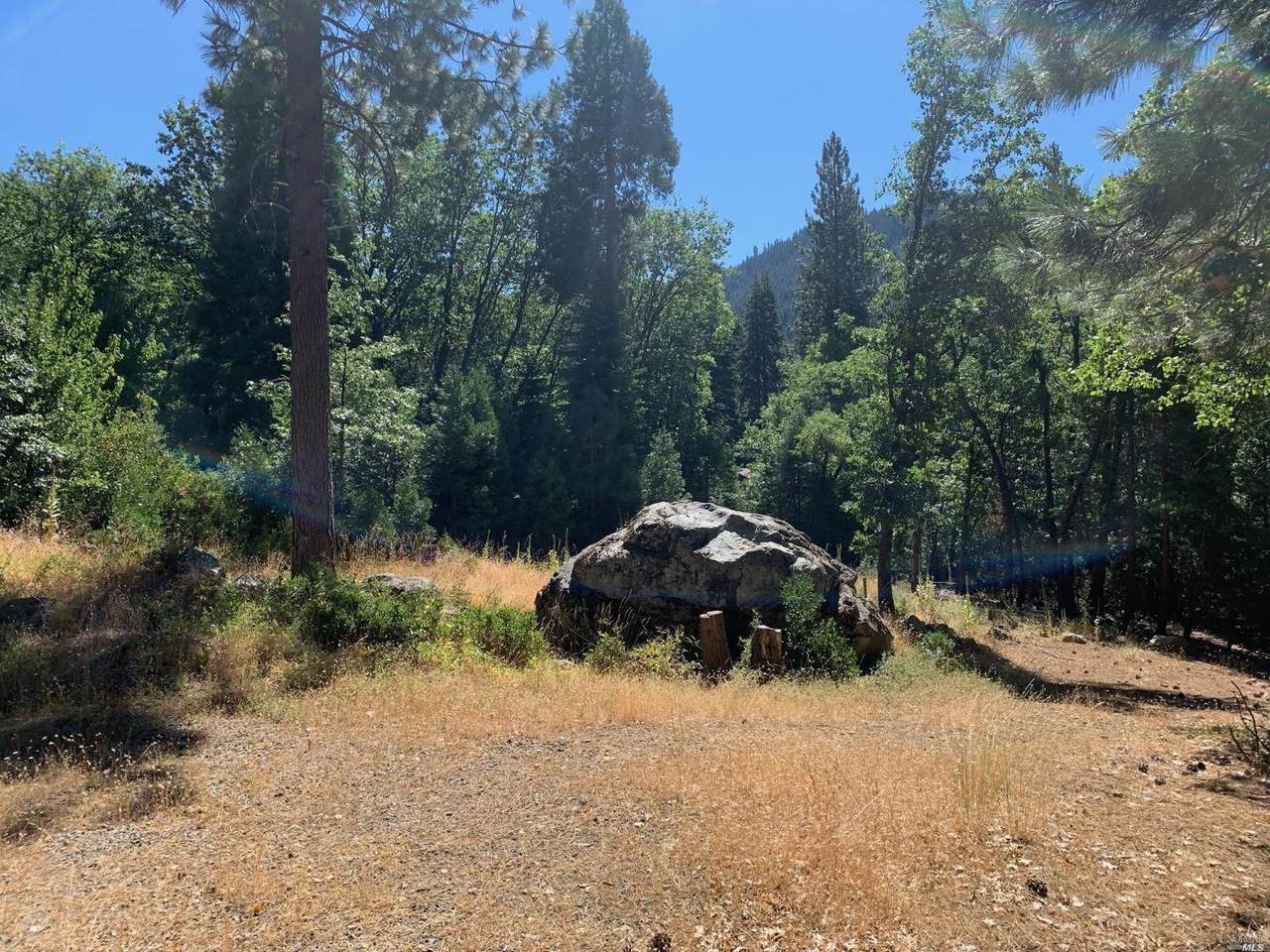 103 Lewis Ln. - Photo 1