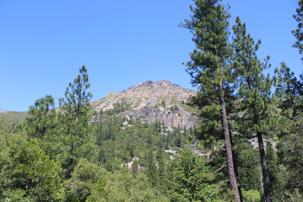 558 Brady Dr. - Photo 1