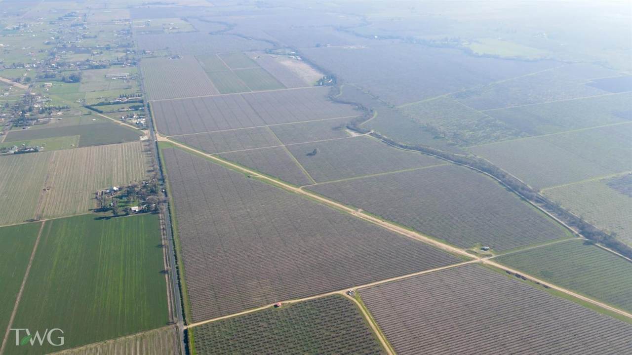 11850 Live Oak Road - Photo 1