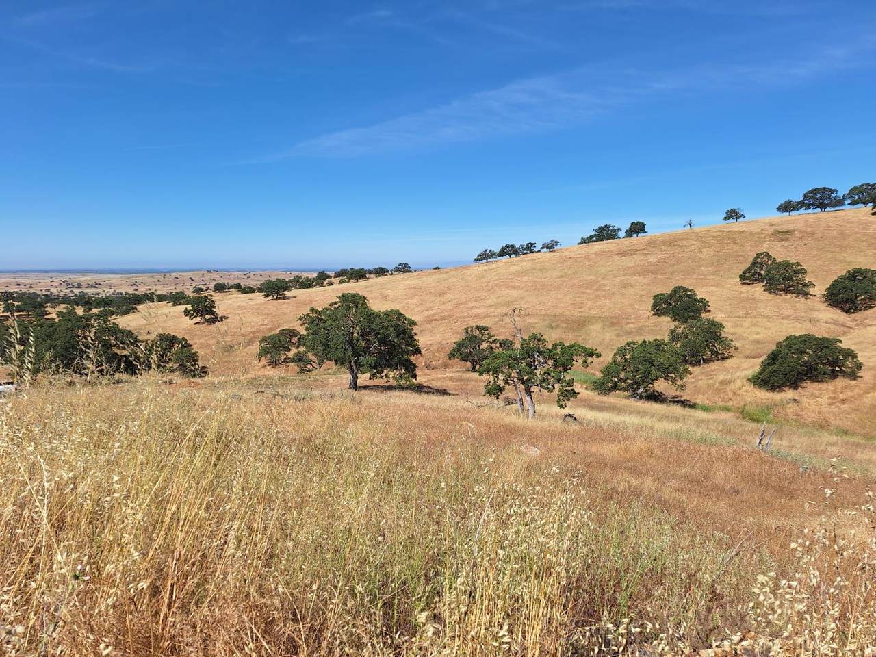 9987 Hernandez - Photo 1