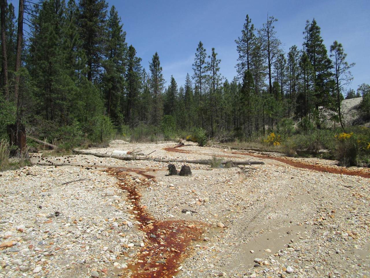 15699 Tyler Foote Road - Photo 1