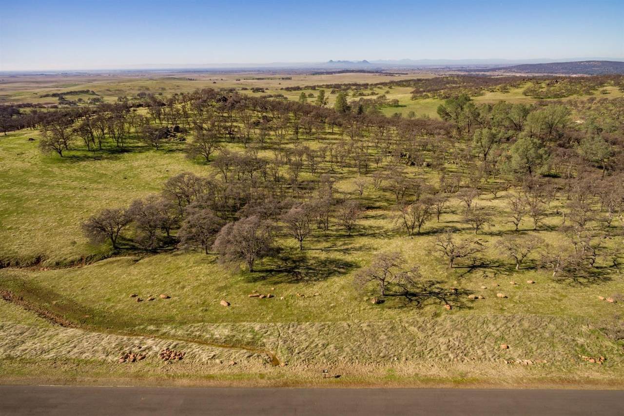 0 Hammonton Bluffs Parcel 9 - Photo 1