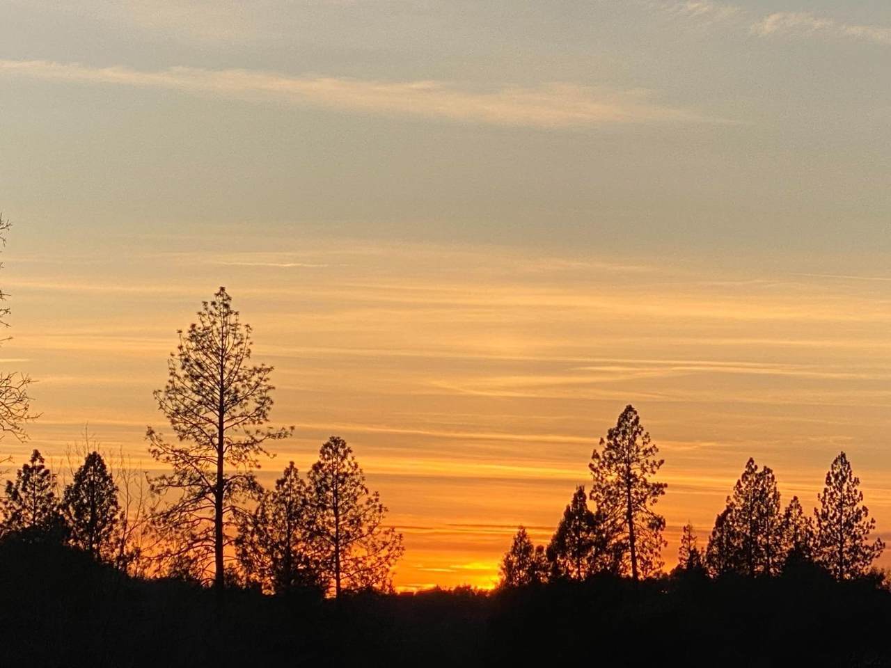 0 Hammonton Bluff Parcel 2 - Photo 1