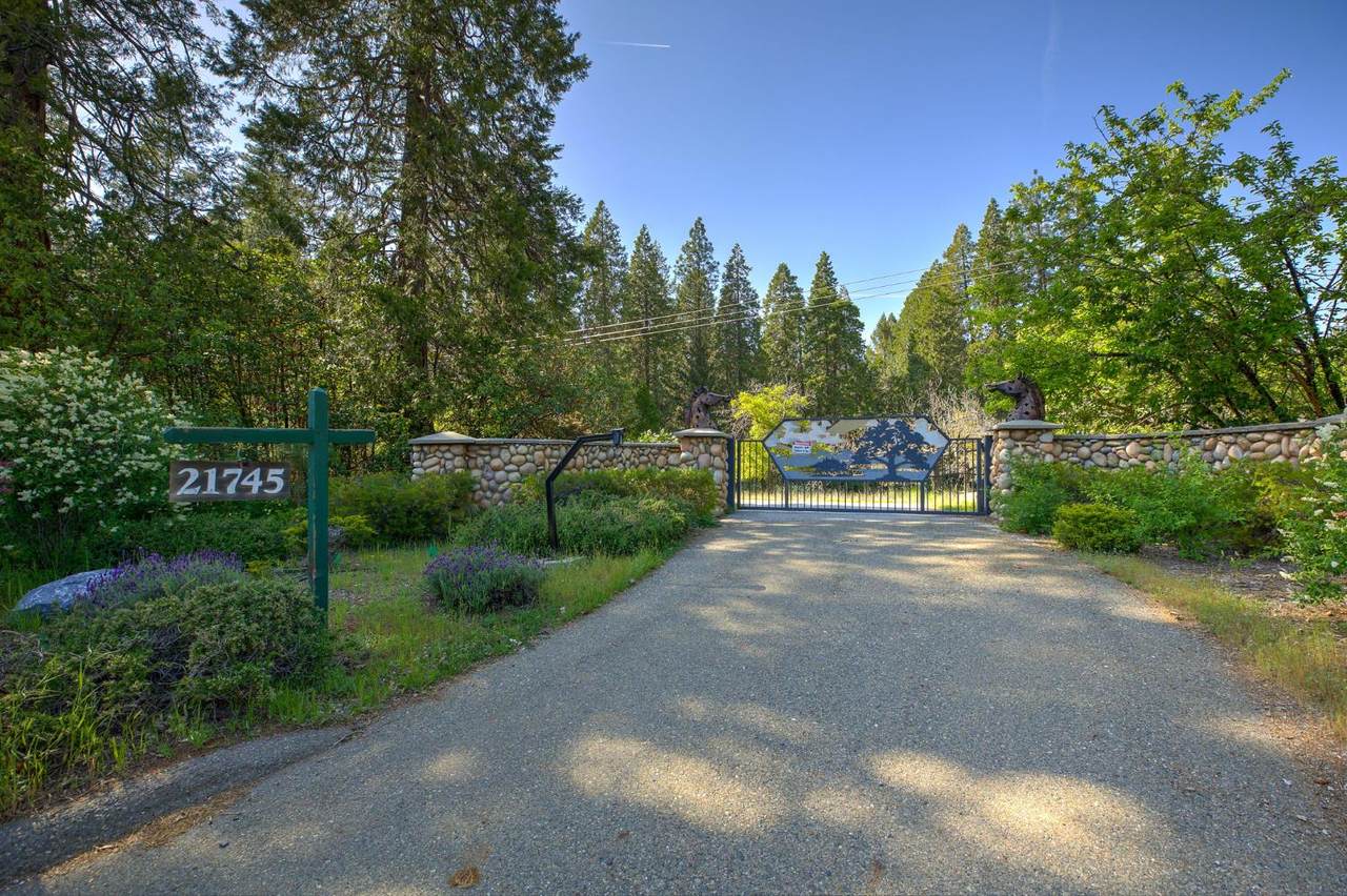 21745 Foresthill Road - Photo 1
