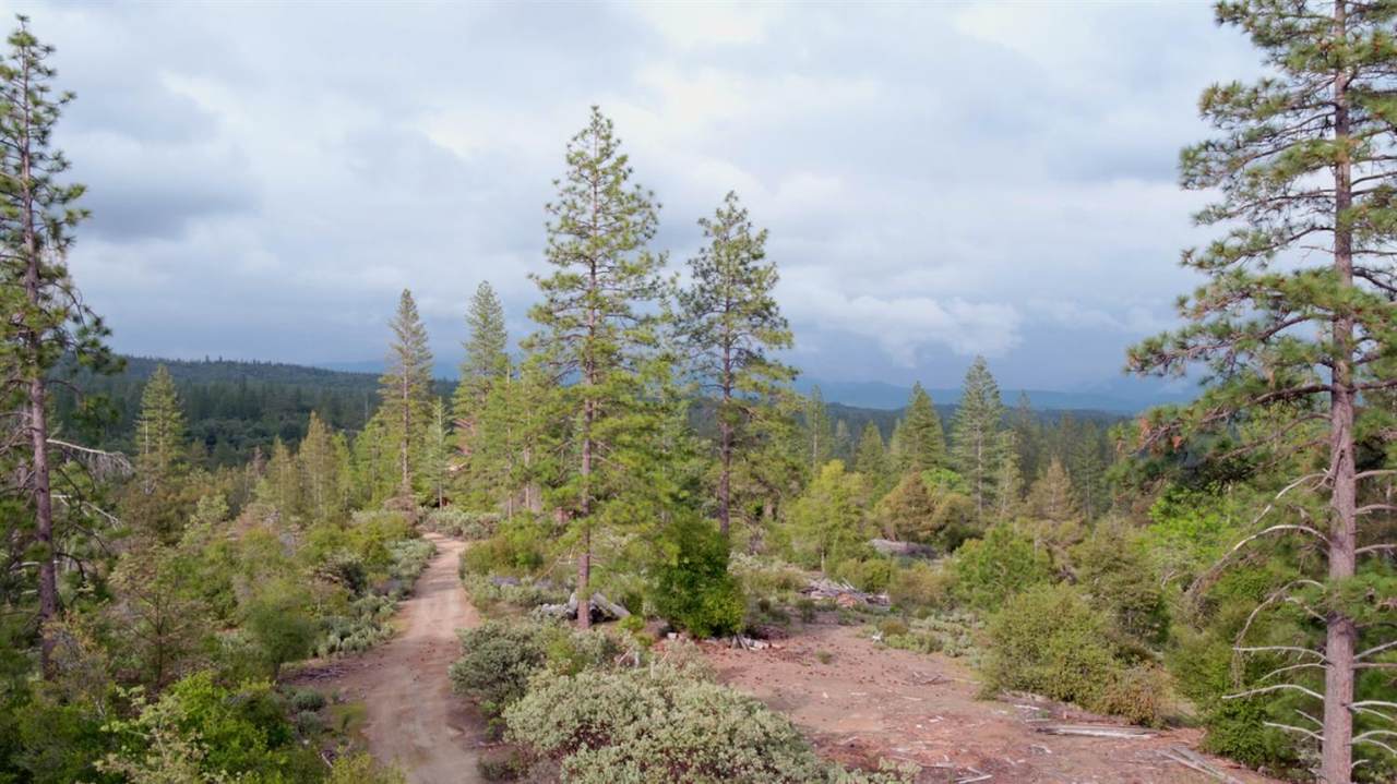 6363 Dogtown Road - Photo 1