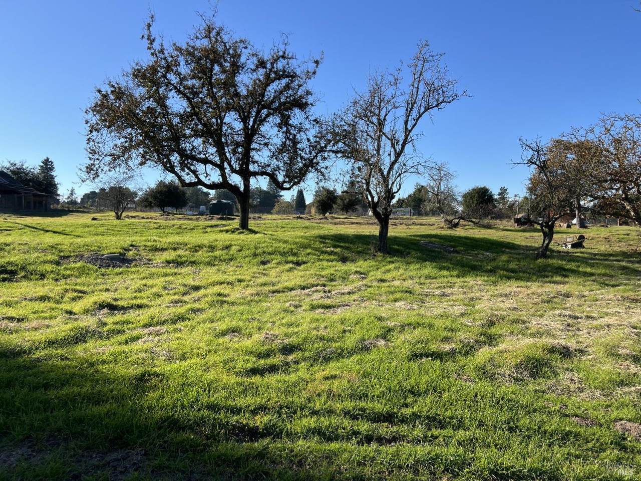 4720 Paulsen Lane - Photo 1