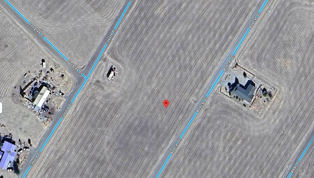 58 Bobcat Drive - Photo 1