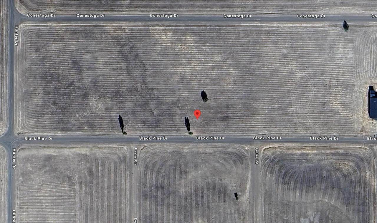 200 Black Pine Drive - Photo 1