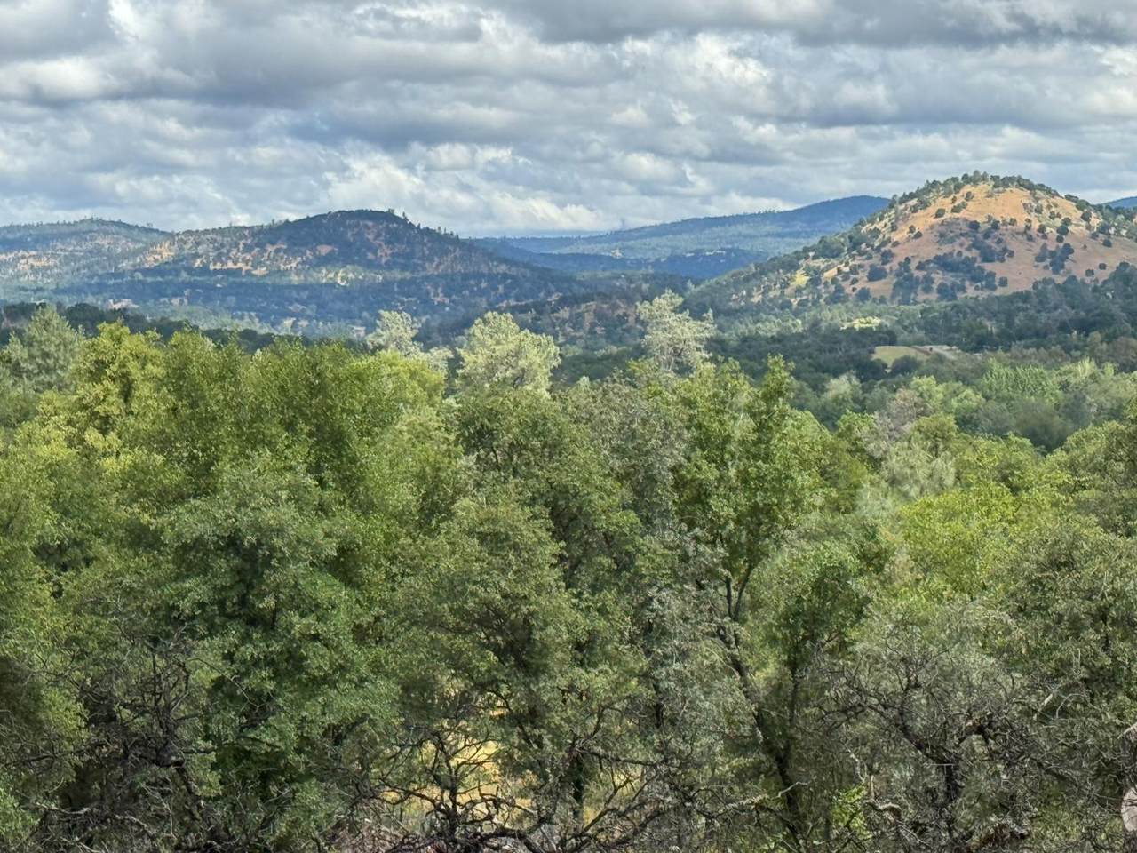 7 Wades Way - Photo 1