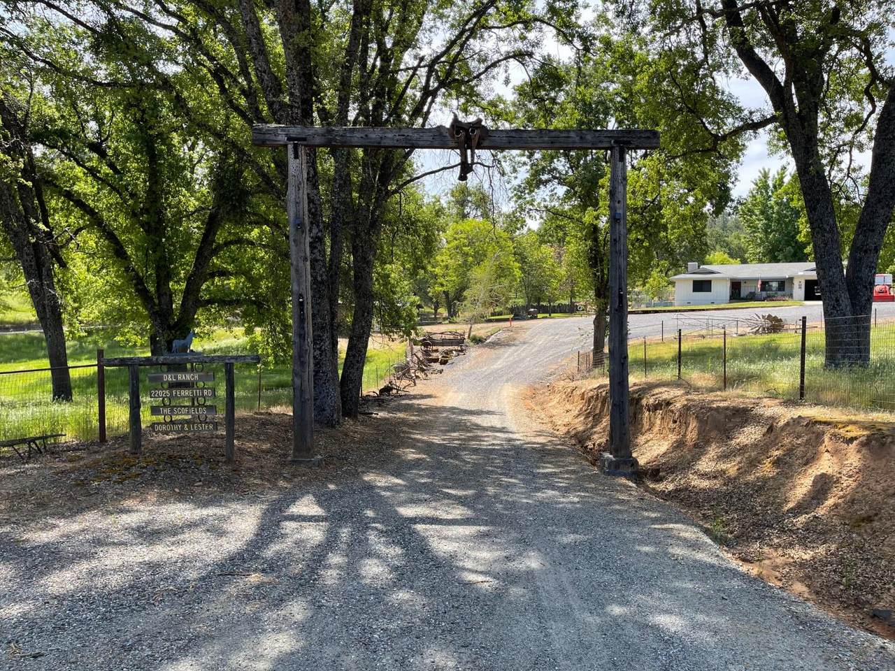 22025 Ferretti Road - Photo 1